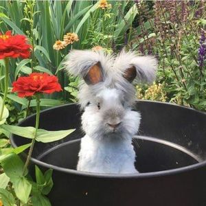 Meet your Posher, Kathy